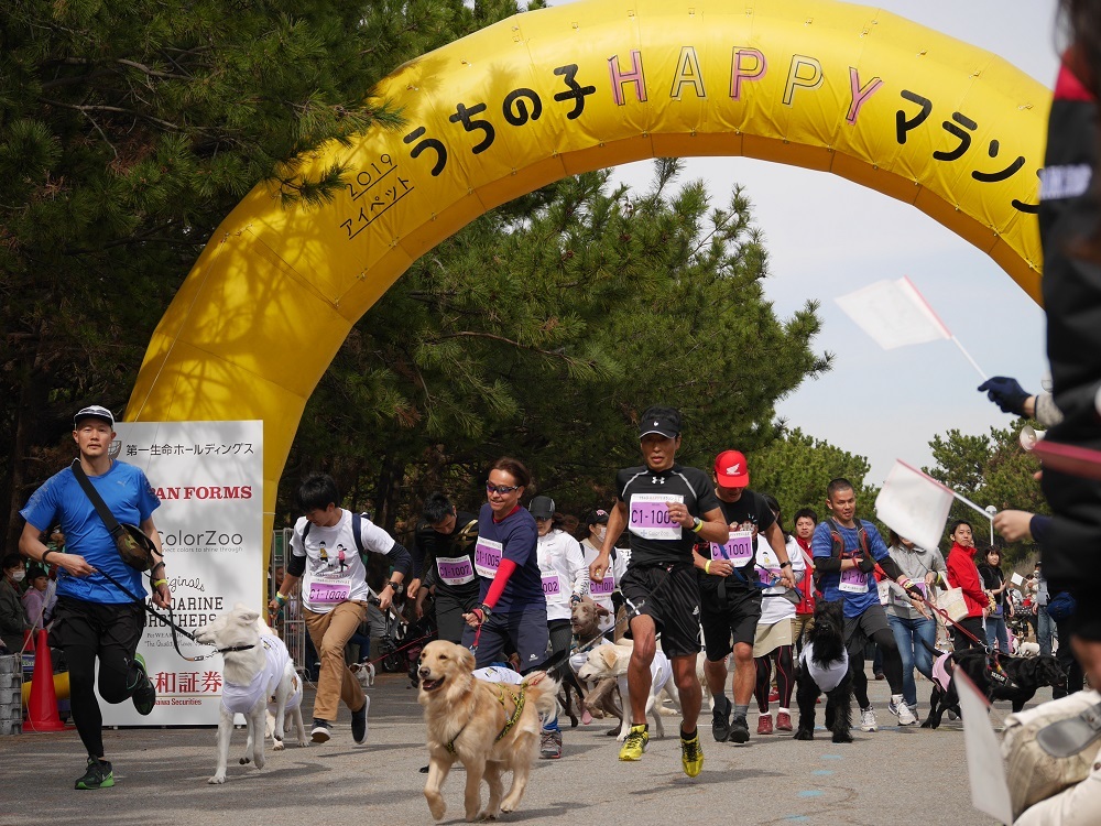 【ペット保険のアイペット】
北は新潟、南は愛知から、555頭のワンちゃんが大集合!!
約8000名が来場した日本最大級のドッグマラソン
「アイペット うちの子HAPPYマラソン 2019」結果発表