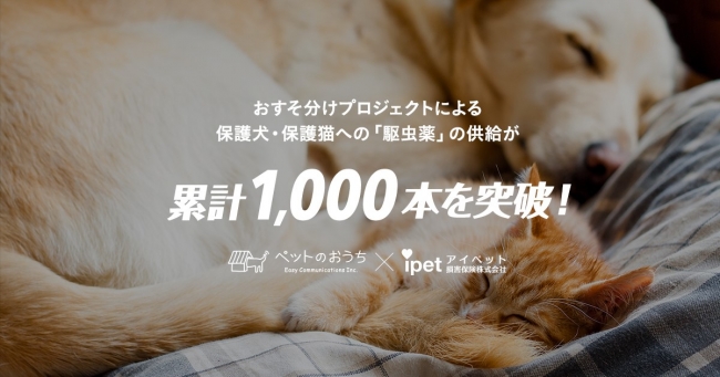 アイペットが支援する「おすそ分けプロジェクト！」保護犬・保護猫たちへのノミ・マダニ駆除薬の支援が1,000本を突破!!