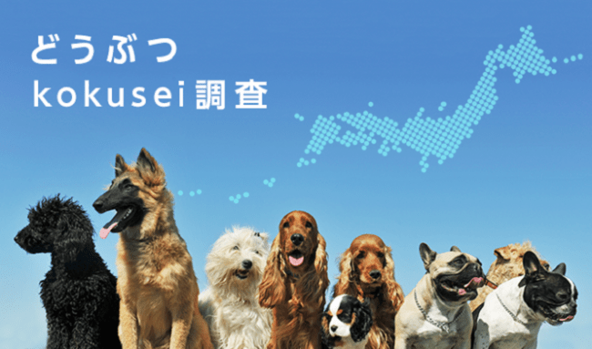 犬の健康寿命延伸を目的とした「どうぶつkokusei調査」結果公表