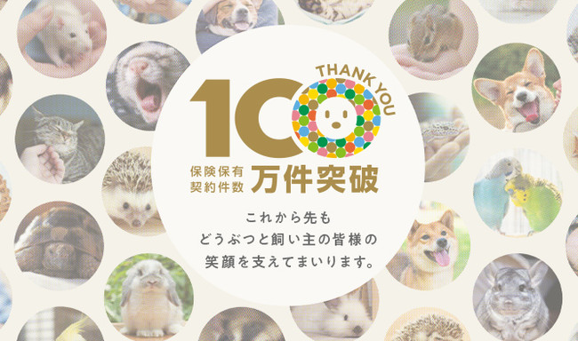 日本初、ペット保険の契約件数が100万件を突破