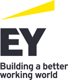 EYプロフェッショナルサポート株式会社の設立