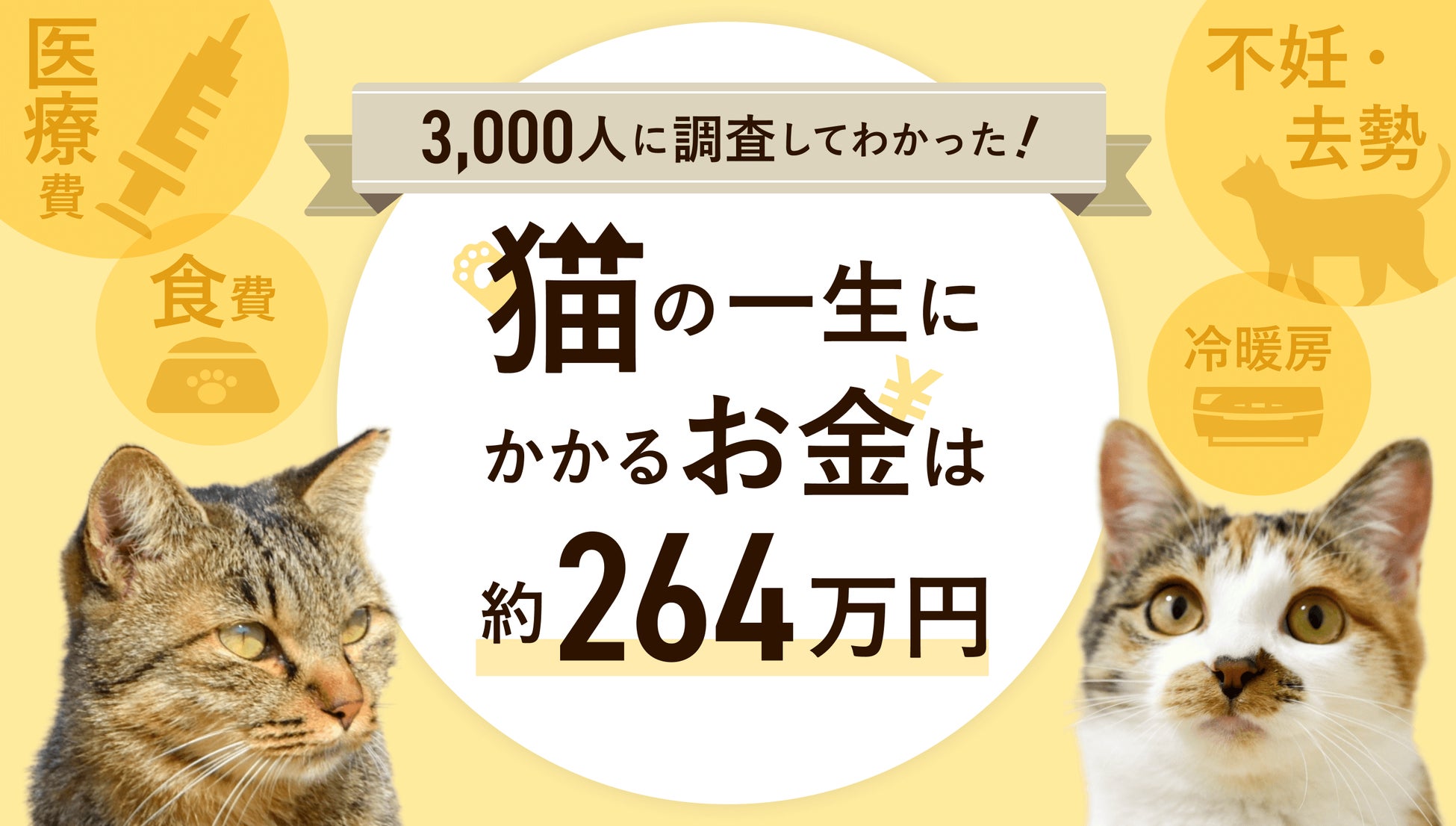 猫の一生にかかるお金は約264万円！2月22日「猫の日」を前に飼い主3,000人に一斉調査！