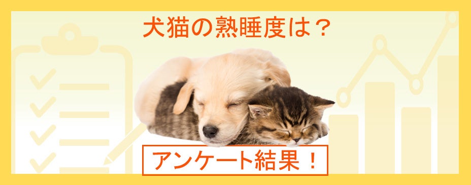 犬や猫の寝方から熟睡度がわかる？ペットの睡眠事情を調査！『ペット保険比較のピクシー』