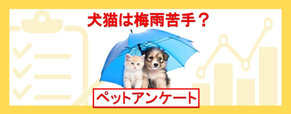 犬や猫は梅雨の湿度が苦手？ペットのためにはどんな梅雨対策をすればいいの？『ペット保険比較のピクシー』