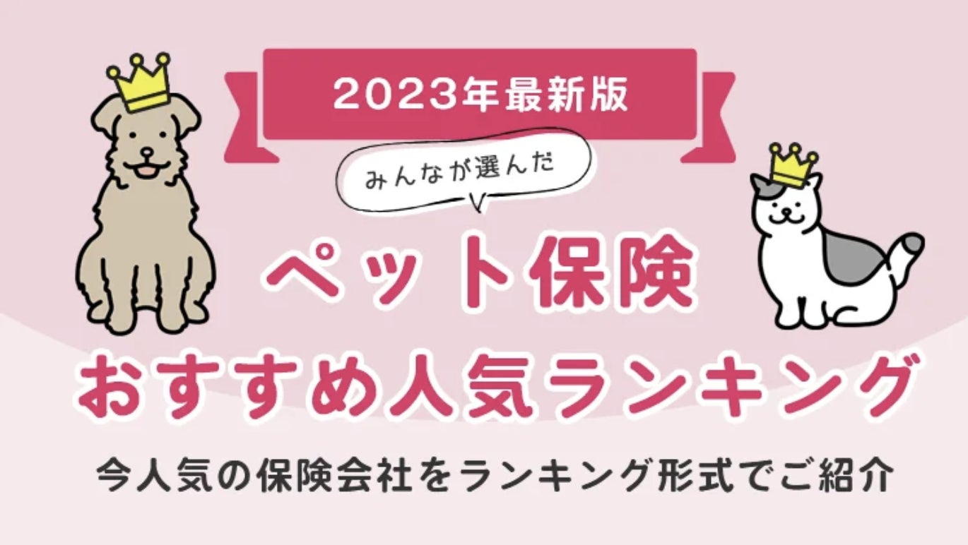 日本円ステーブルコインJPYC｜Non Fungible Tokyo 2023に代表岡部が登壇