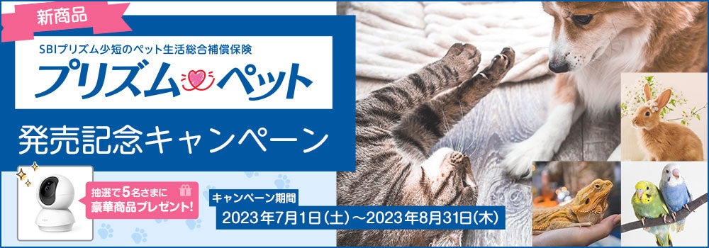 【発行1周年】日本で唯一CO2排出量を可視化できる個人向けカード『SAISON CARD Digital for becoz』が日本の豊かな四季を織りなす『赤城自然園』と新たなサービスをスタート！