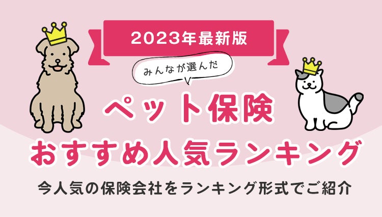 【弁護士費用を補償する保険「弁護士保険」 おすすめ人気ランキング】2023年8月最新版を発表！