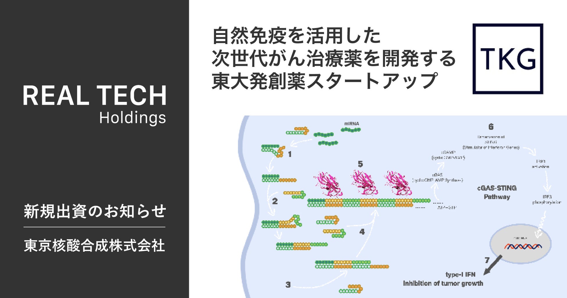 リアルテックホールディングス、自然免疫を活用した次世代がん治療薬を開発する東大発創薬スタートアップ東京核酸合成への出資を実施