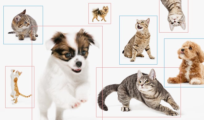 AIを用いて「ペットの動画から感情を判定する」システムの特許を取得