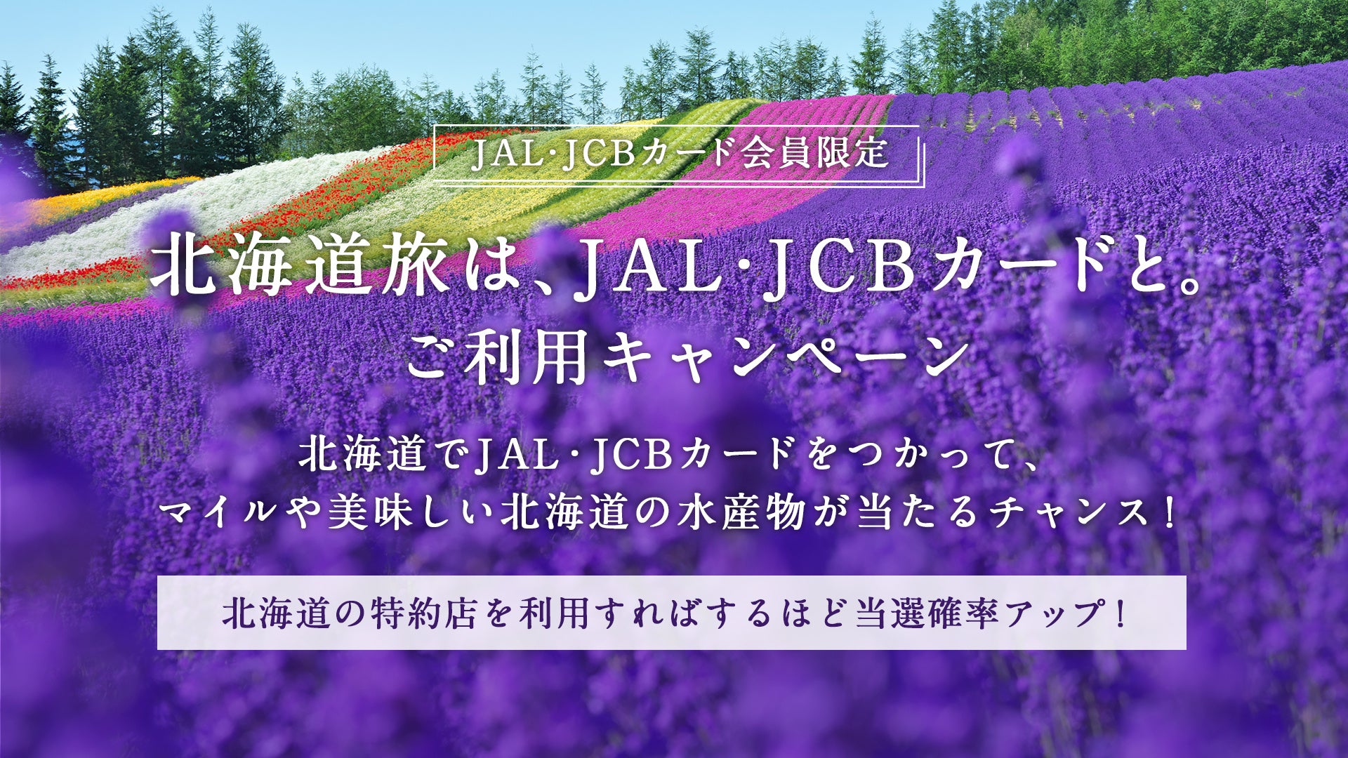 北海道の水産物が当たる！ JAL・JCBカード ご利用キャンペーンを実施いたします