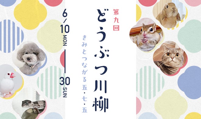 アニコム損保　第九回「どうぶつ川柳」募集開始！