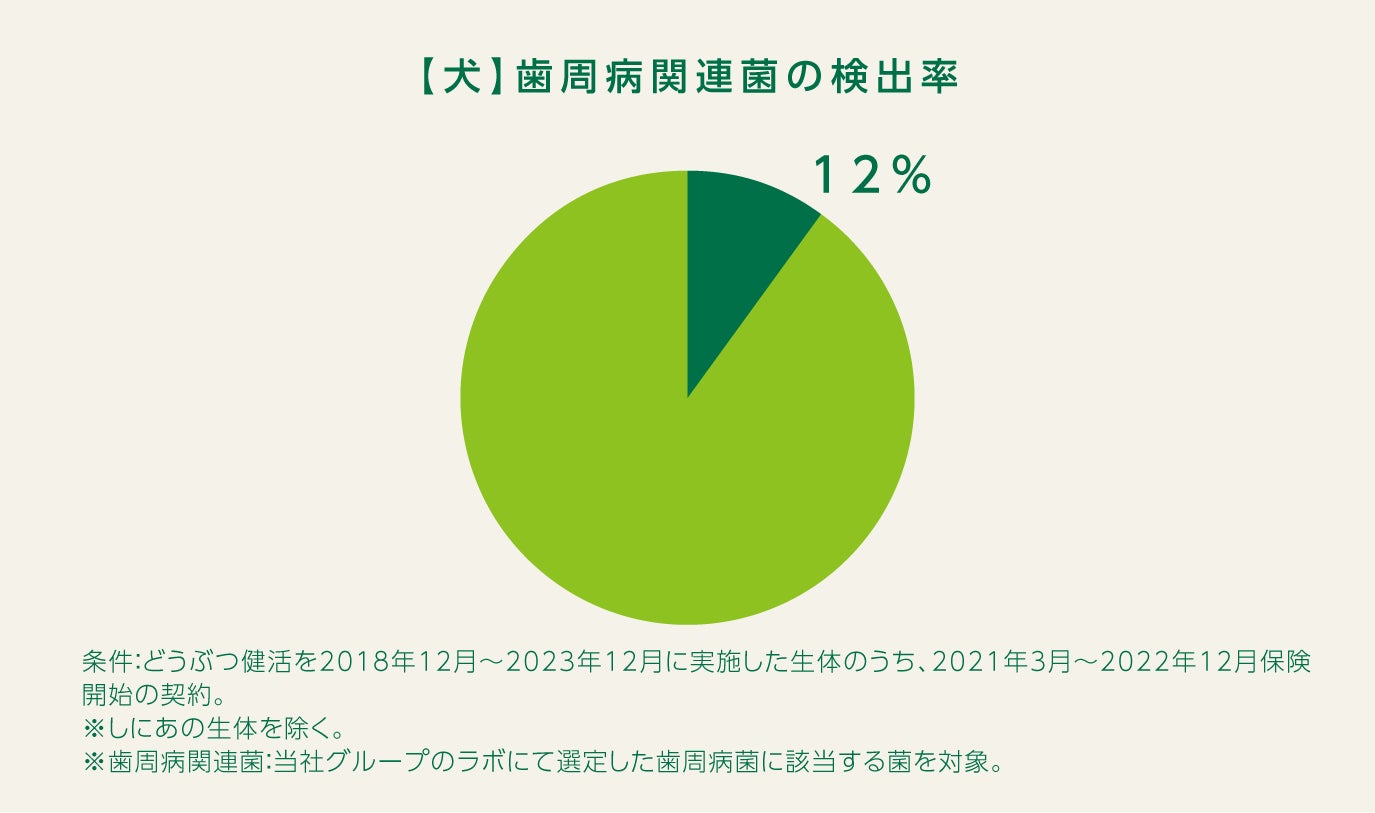 新しい暗号資産はどのように作られるのか？新しいコインの生成プロセスを公開