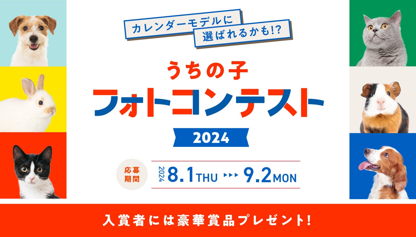 「保有契約件数90万件突破 新規お申込みキャンペーン」開始！