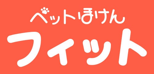 Siiibo証券、設立5周年！債券市場民主化への挑戦を設立からの歩みと実績で振り返ります