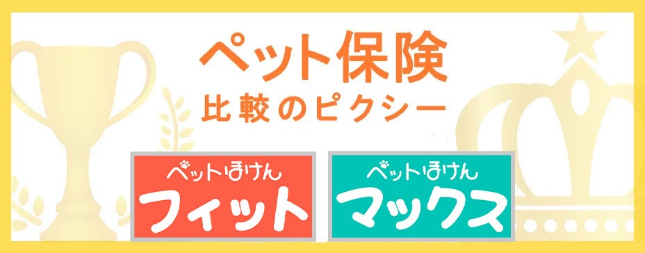 エアロエントリー株式会社と株式会社スペースワン、CHASING 社製水中ドローンに無償附帯保険を提供開始