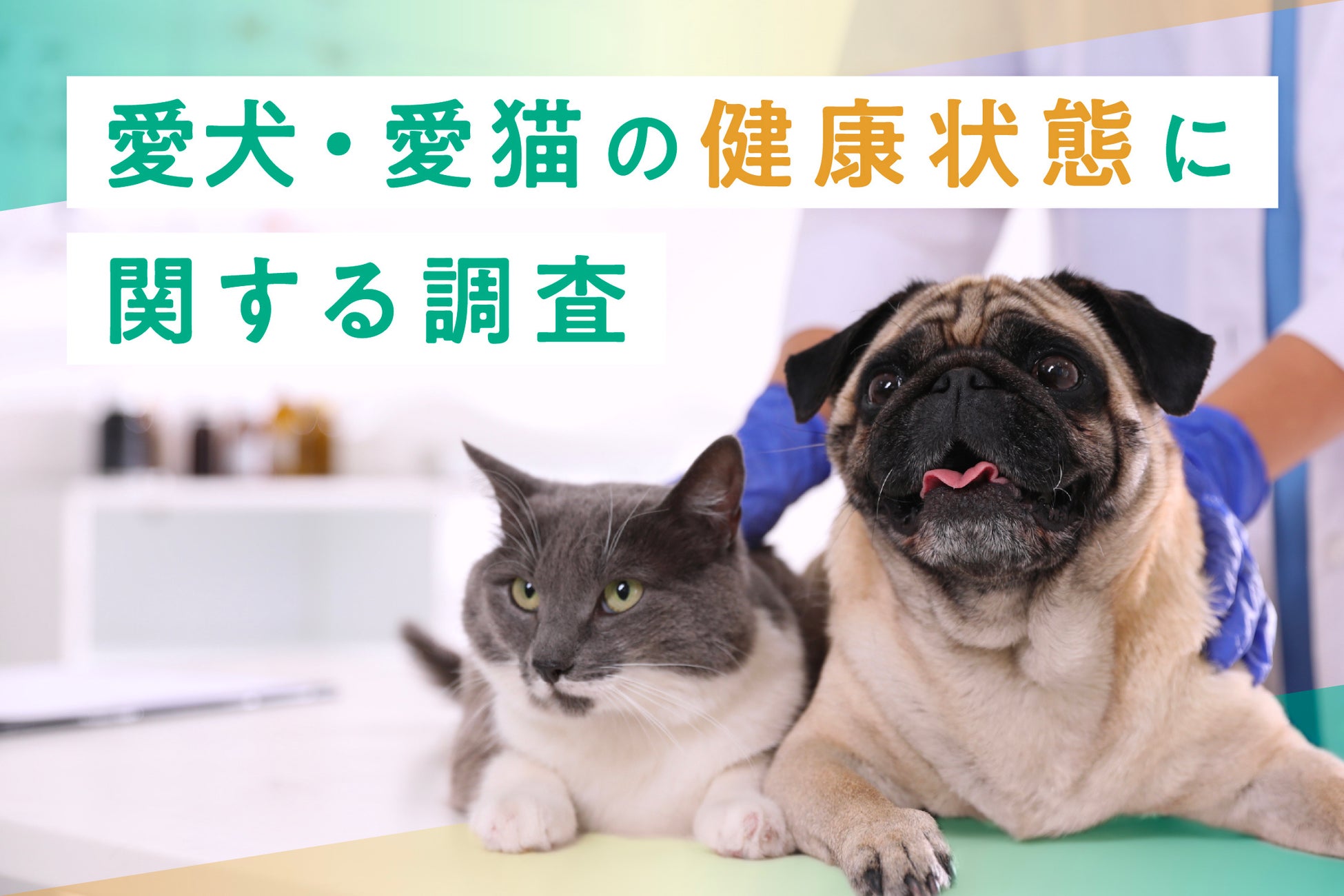 【全国１万人アンケート調査】
株式投資をやっている人は金融資産が約３倍！
それでも株をやらないのは「わからない」から