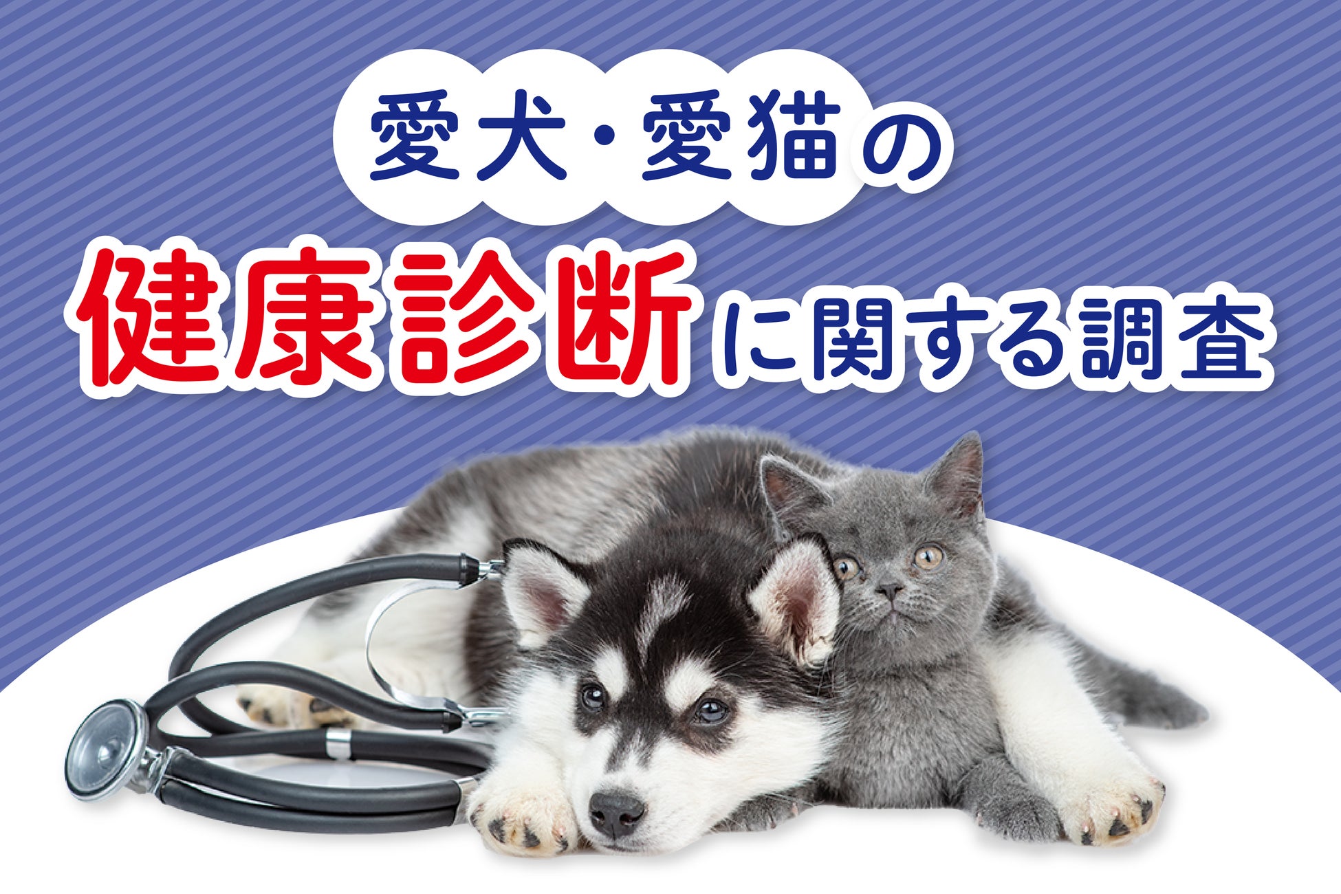 企業版ふるさと納税の取組みについて～株式会社シアターハウスから福井県あわら市・坂井市・高浜町への寄附のご紹介～