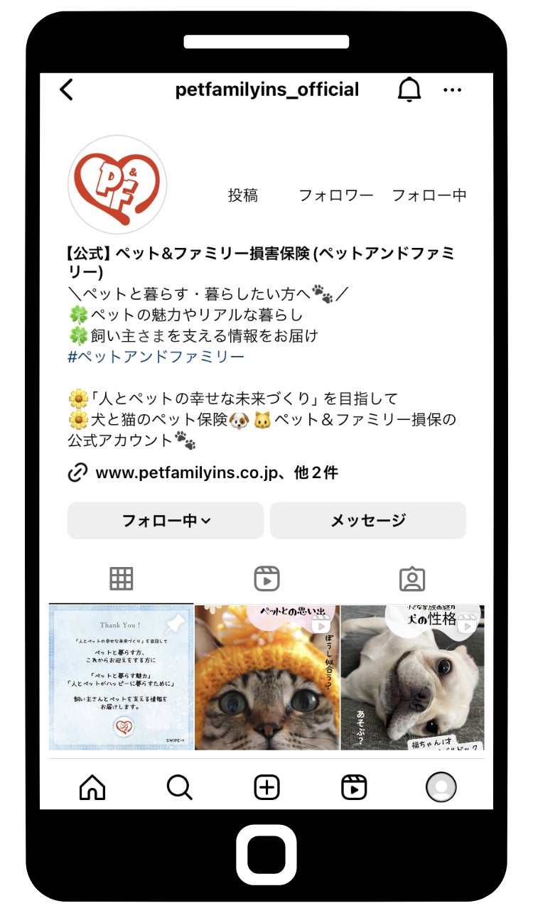 ペット＆ファミリー 公式Instagramアカウントの開設