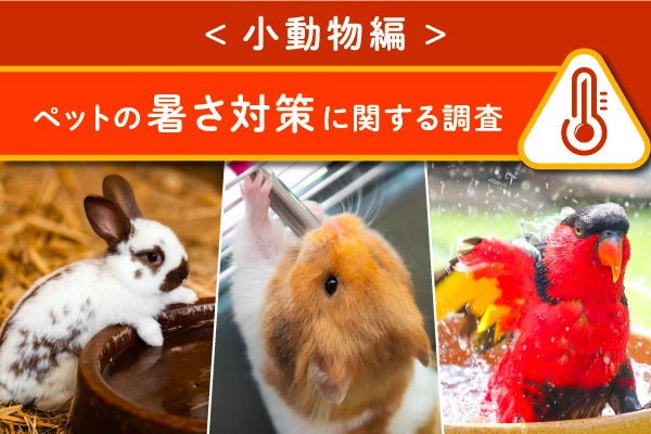 ＜小動物編＞ペットの暑さ対策に関する調査