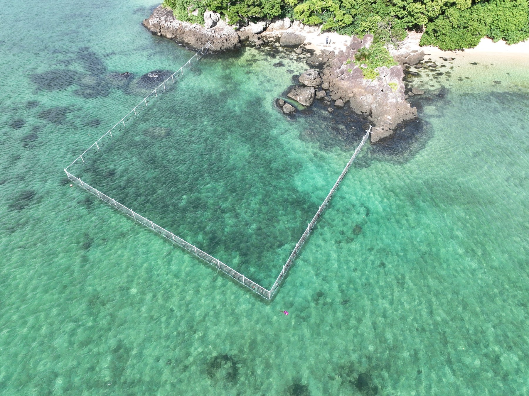 東京海上アセット　自然由来系脱炭素の推進および生物多様性保全に向けた取組み拡大と経済価値向上に向けた検討会を開始