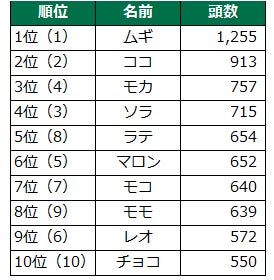 CAPIMA（キャピマ）、【スタートアップ企業支援 債権担保 プライベートデットファンド #2】募集開始