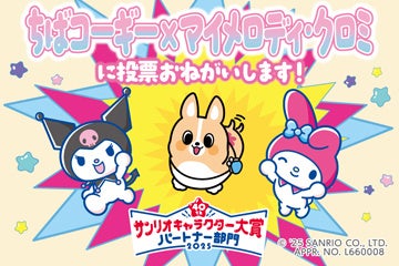 2025年サンリオキャラクター大賞 パートナー部門に「ちばコーギー✕マイメロディ・クロミ」がエントリーします！