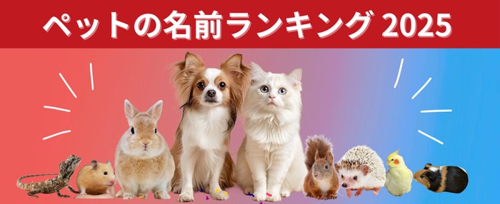 大手町フィナンシャル、相続不動産の有効活用と不動産担保ローンの可能性を解説したレポートを公開