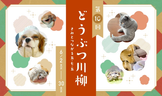アニコム損保の第十回「どうぶつ川柳」、募集開始！入賞作品には豪華プレゼントも