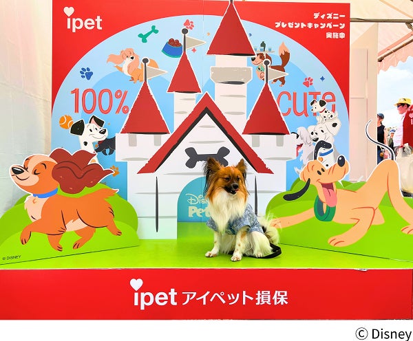 アイペット損保、ディズニーデザインのフォトスポットで1,000名超を動員！