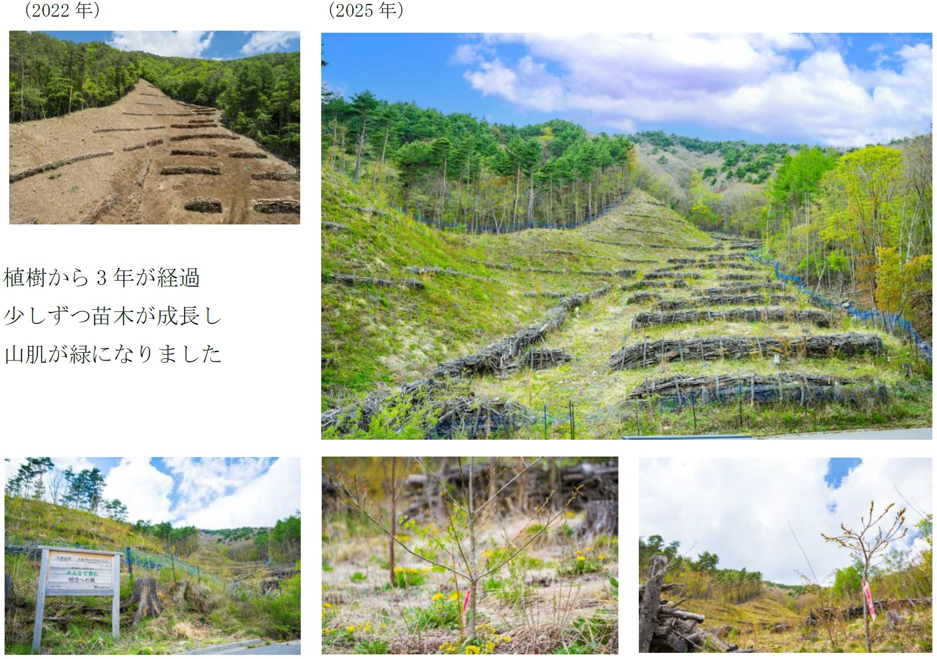 山梨県笛吹市芦川町に2,439本を植樹「みんなで育む明日への森」のご報告