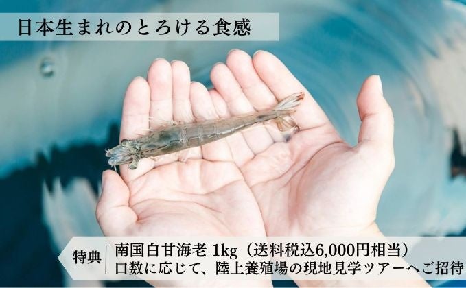 リミックスポイント、グローバルWeb3カンファレンス「WebX2025」のプラチナスポンサーとして協賛