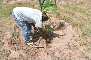 オリコ、肥後銀行と「ＯＢＳ」のビジネスマッチング契約を締結