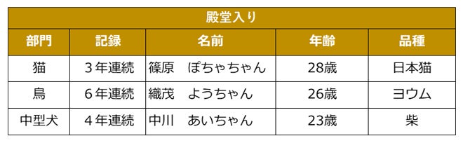 IFMインベスターズの2025年版世界の機関投資家プライベートマーケット投資調査:不確実な時代における有効なリスク管理戦略として、インフラストラクチャーへの資産配分が20%増加の見込み