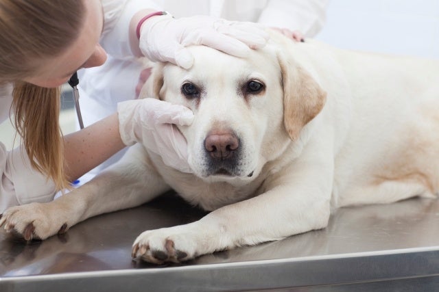 JRE BANK口座紹介キャンペーンを実施します ~お友達を紹介してJRE POINTが最大4,000ポイントもらえる!×最大10名まで~