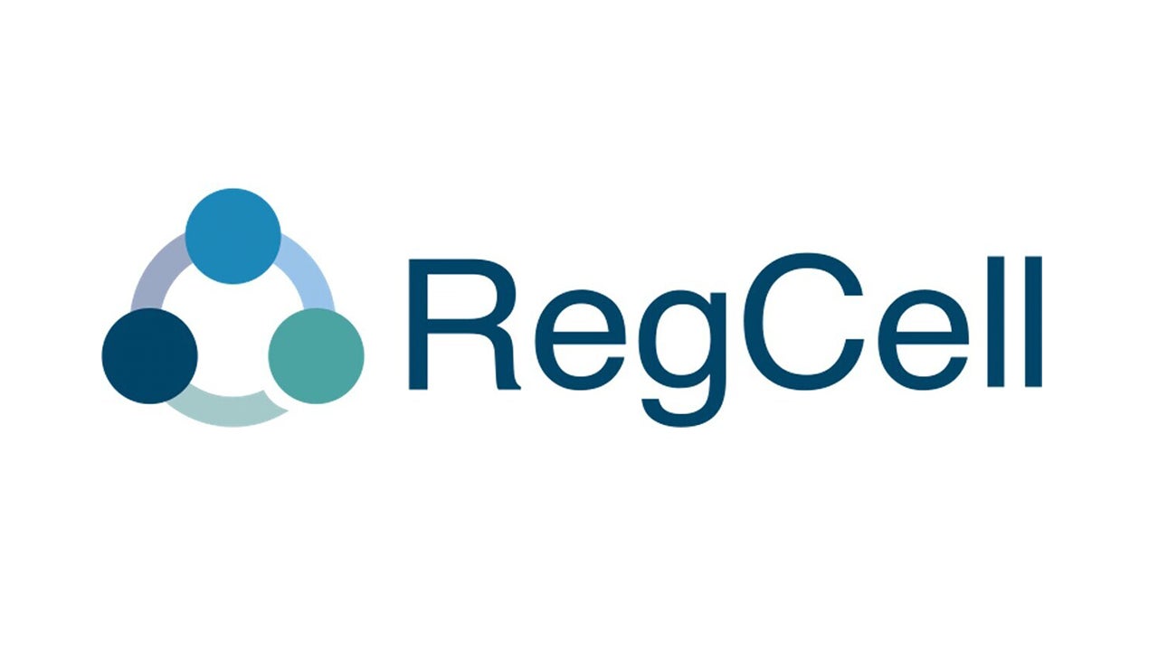 ソラミツ、国内向けステーブルコイン発行コンサルティング事業を開始