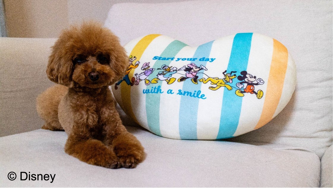 「トマト銀行×SBI損保実額補償がん保険」取り扱い開始のお知らせ