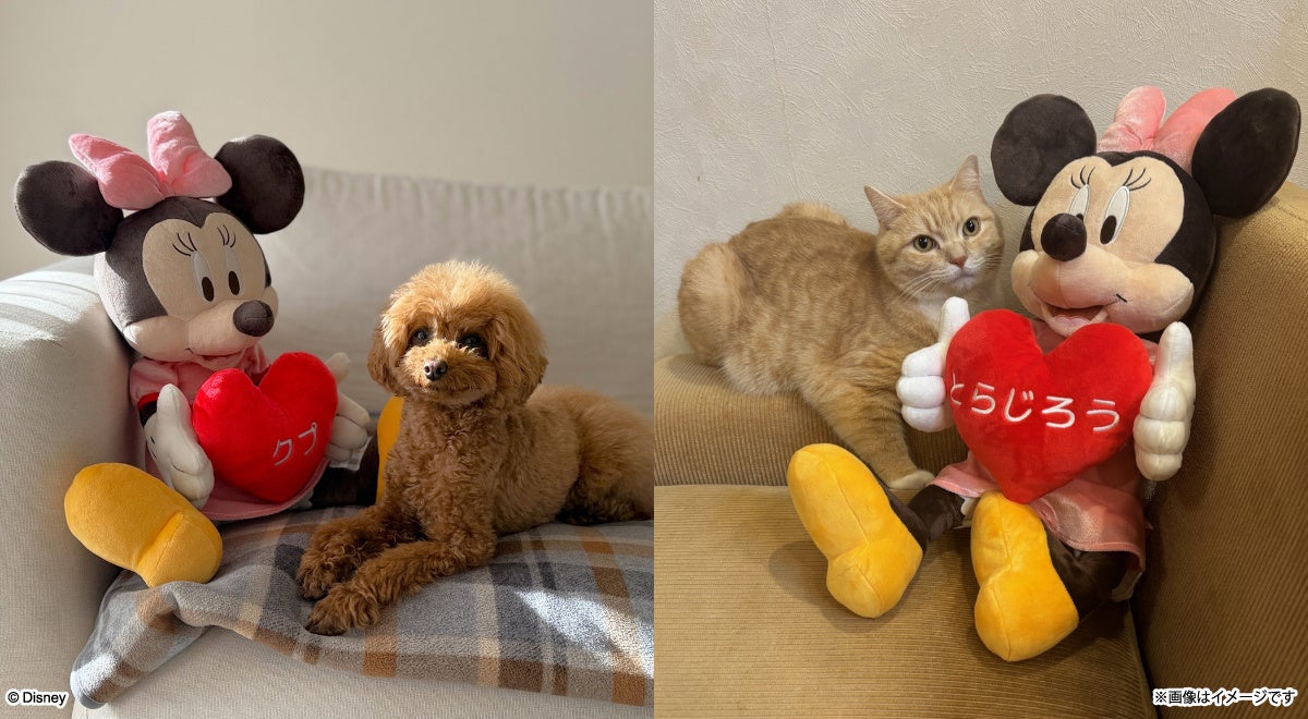 アンケートへのご回答だけ！ディズニーデザインのグッズが抽選で当たる感謝のキャンペーン第三弾