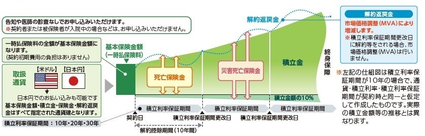 【新商品】「指定通貨建積立利率更改型一時払終身保険（無告知型）無配当」等の発売について