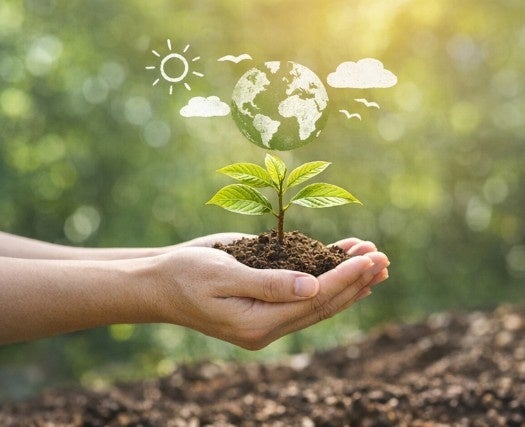 預金するだけで、森と未来を守る。富士商グループホールディングスの富士産業株式会社、J-クレジット預金を通じた環境貢献を継続