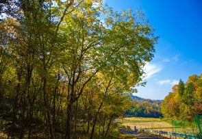 ANAファシリティーズ所有林「ANAForest」がOECDによる「森林資源の活用」に関する優良事例現地調査対象に選定されました