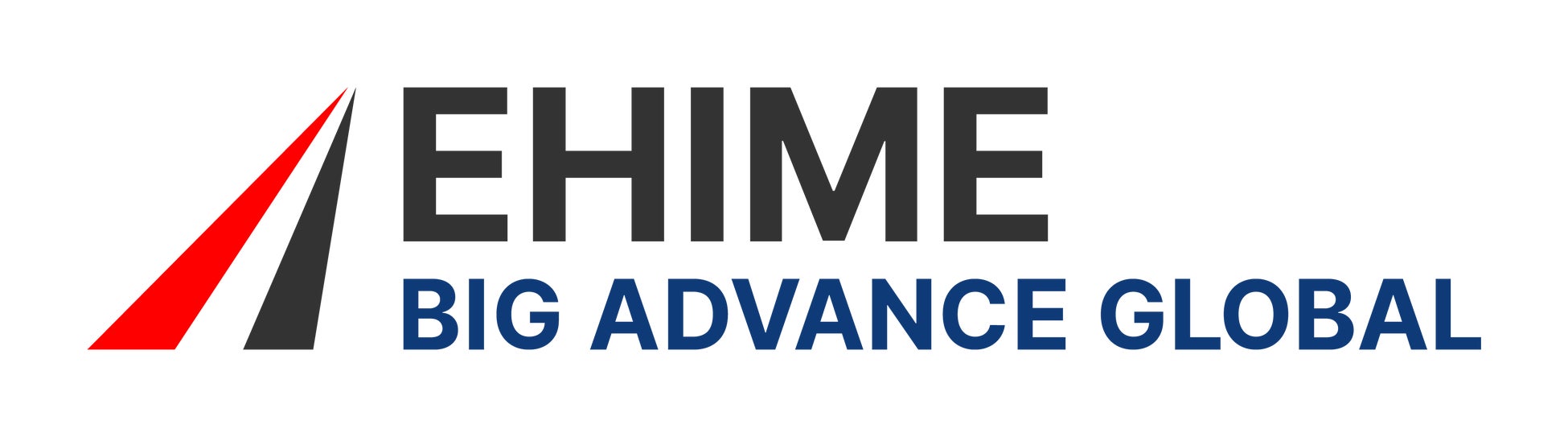 愛媛銀行にて海外ビジネスマッチングプラットフォーム「BIG ADVANCE GLOBAL」利用開始