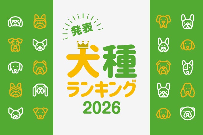 最新版！『犬種ランキング2026』