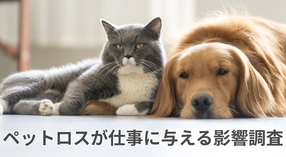 ペットロスでも7割超が仕事を休まず。ペットロスが仕事に与える影響調査