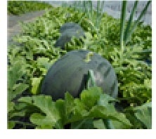 北海道当麻町「地域おこし協力隊募集業務」受託に関するお知らせ 　～全部ある”当麻町の未来を担う人材の創出へ～