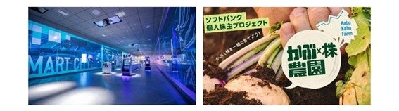 ソフトバンクの株主になって、シーズン王者決定戦を生で観戦【株主さま限定】B.LEAGUE・D.LEAGUEチャンピオンシップにご招待