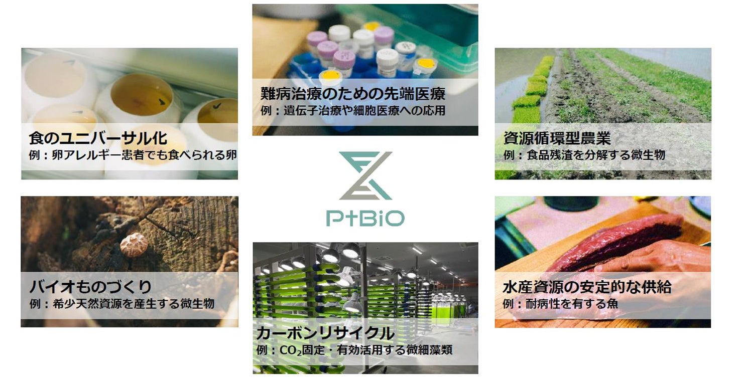 ちゅうぎんインフィニティファンド３号による「プラチナバイオ株式会社」に対する投資実行