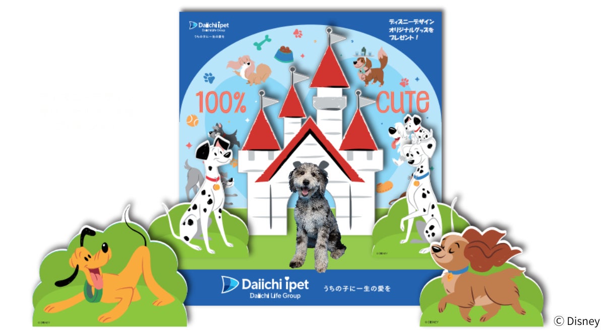 ディズニーデザインのフォトブースで2つのペットのイベントに出展！