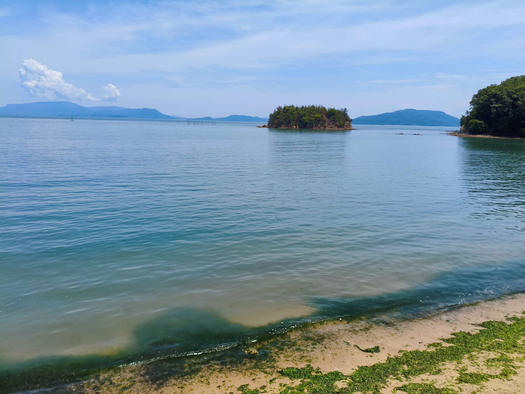 『胸上浜（岡山県玉野市）』が自然共生サイトに認定　～瀬戸内渚フォーラムを通じた自然資本の保全と持続可能な地域づくり～