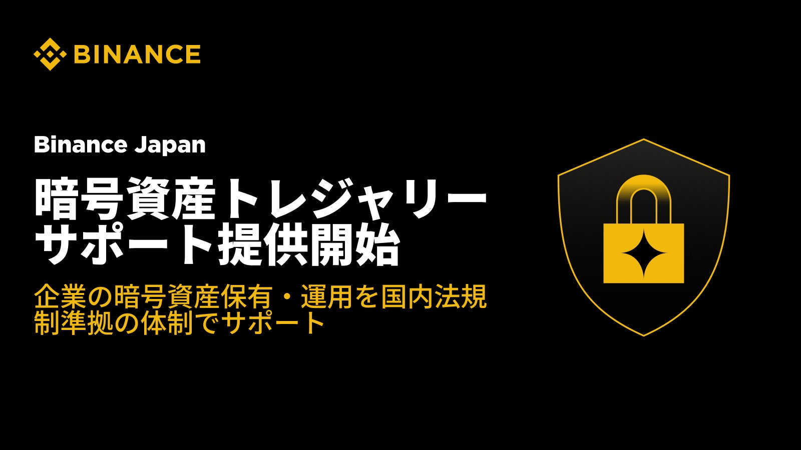 Binance Japan法人向けDAT（暗号資産トレジャリー※）特設サイトを公開