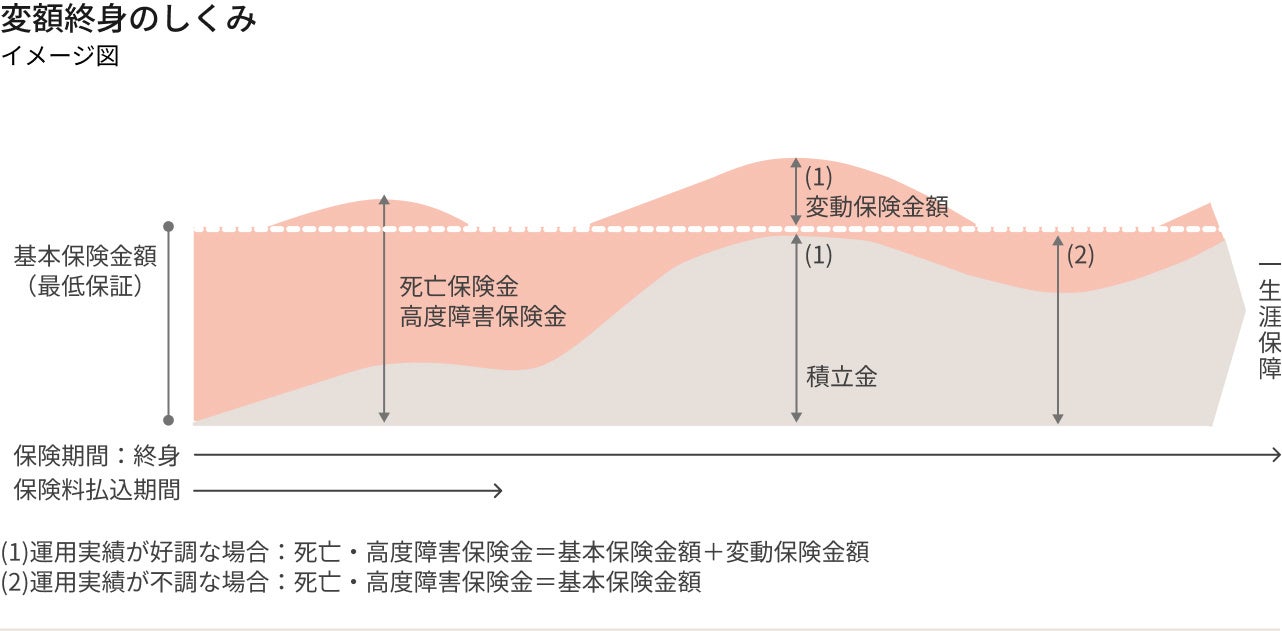 新たな変額保険ラインナップ 「変額終身」を発売